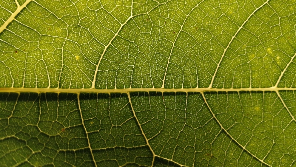 Poängsystem för friskare fastighetsmiljöer Energy Building
